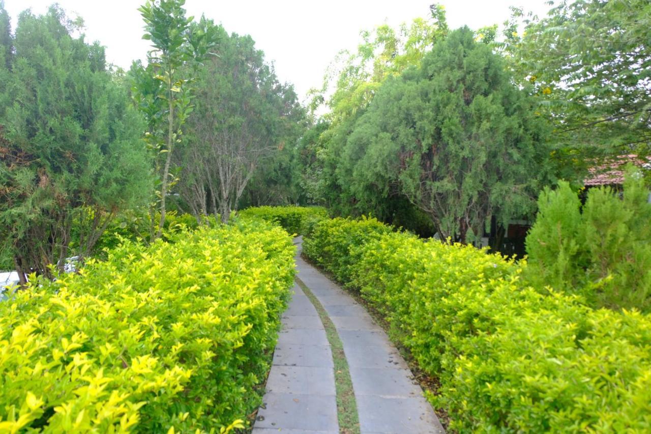 Chalets Resort Masinagudi Ooty Eksteriør billede