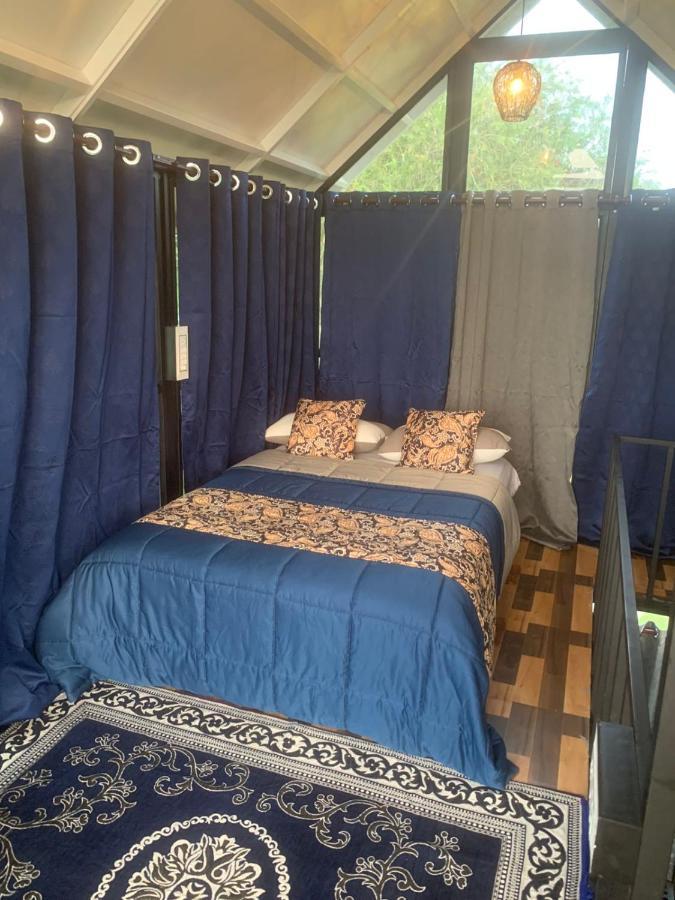 Chalets Resort Masinagudi Ooty Eksteriør billede