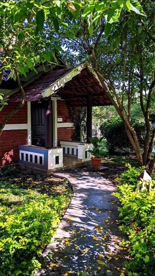 Chalets Resort Masinagudi Ooty Eksteriør billede