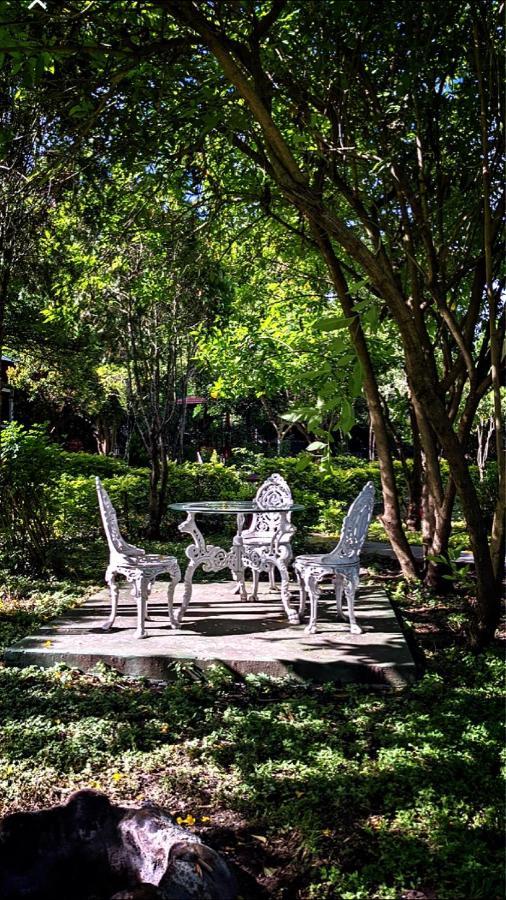 Chalets Resort Masinagudi Ooty Eksteriør billede