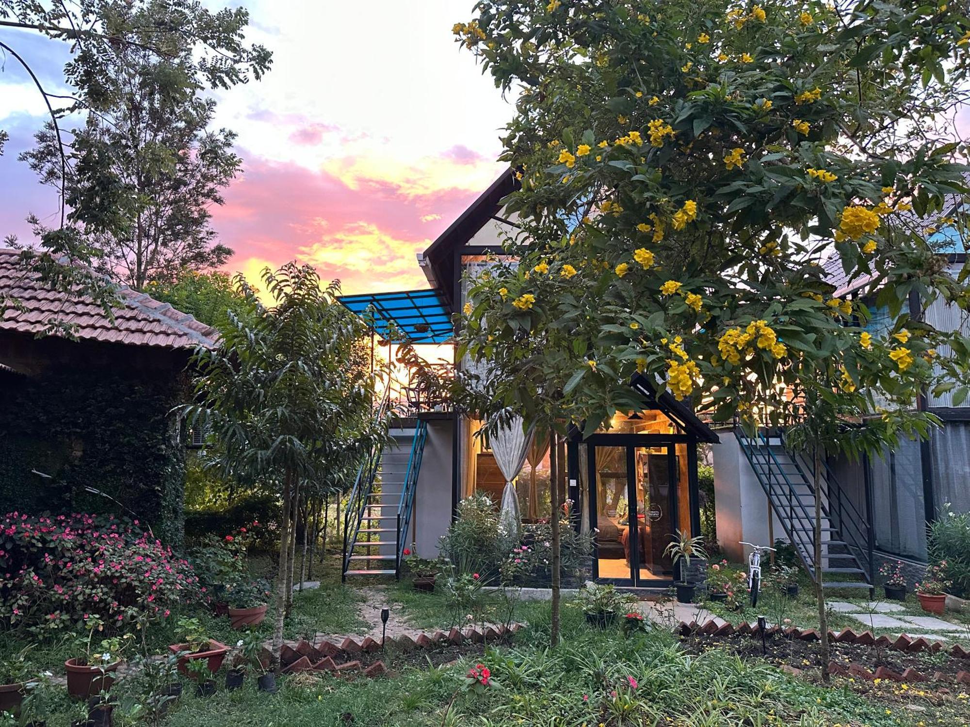 Chalets Resort Masinagudi Ooty Eksteriør billede