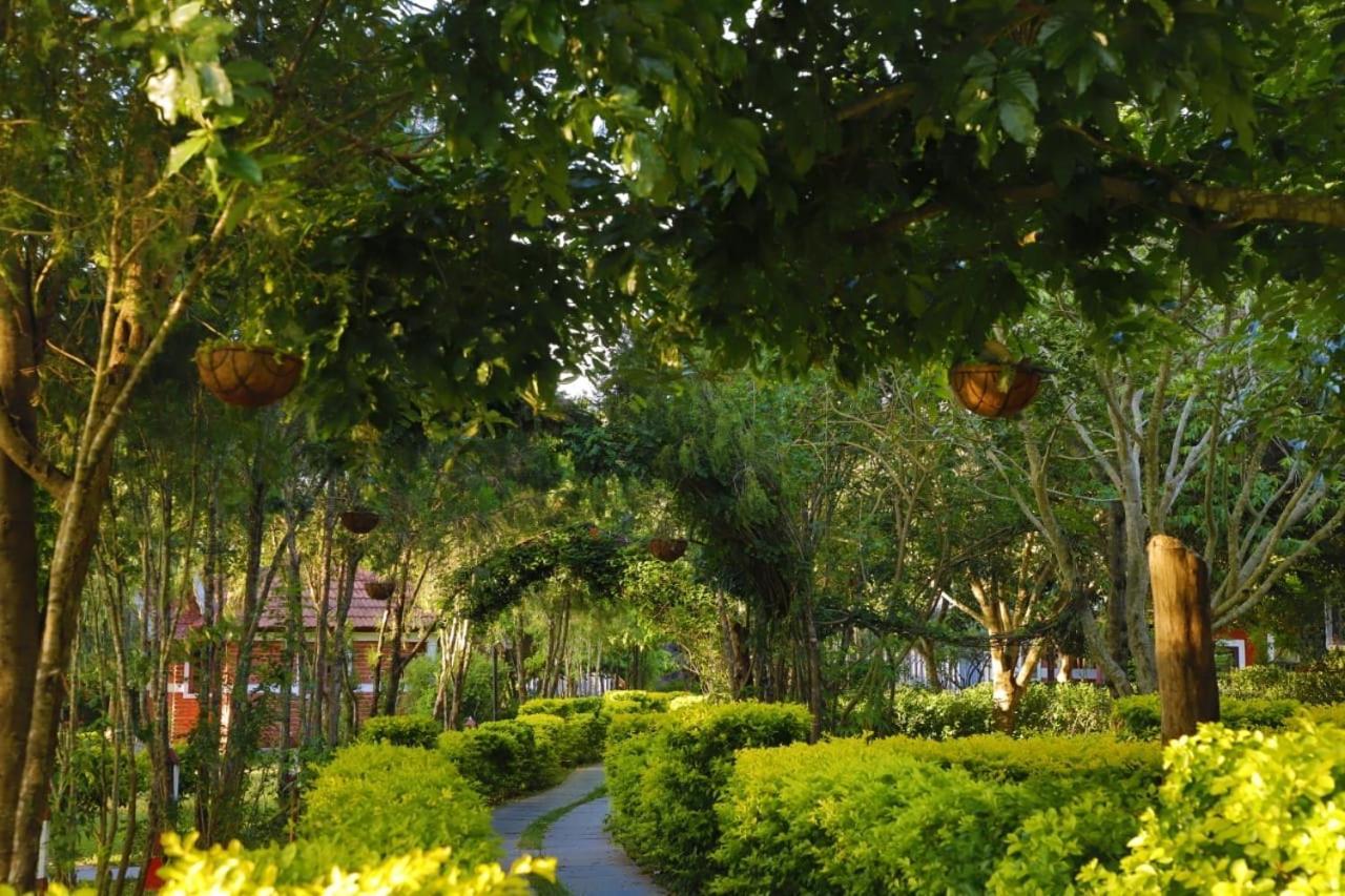 Chalets Resort Masinagudi Ooty Eksteriør billede
