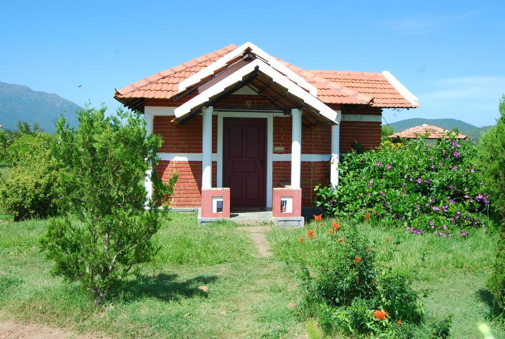 Chalets Resort Masinagudi Ooty Eksteriør billede