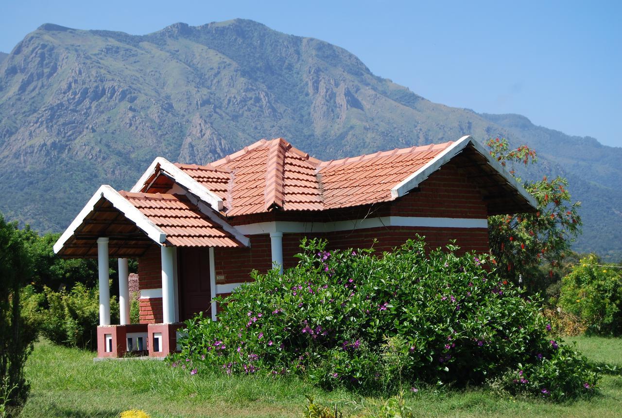 Chalets Resort Masinagudi Ooty Eksteriør billede